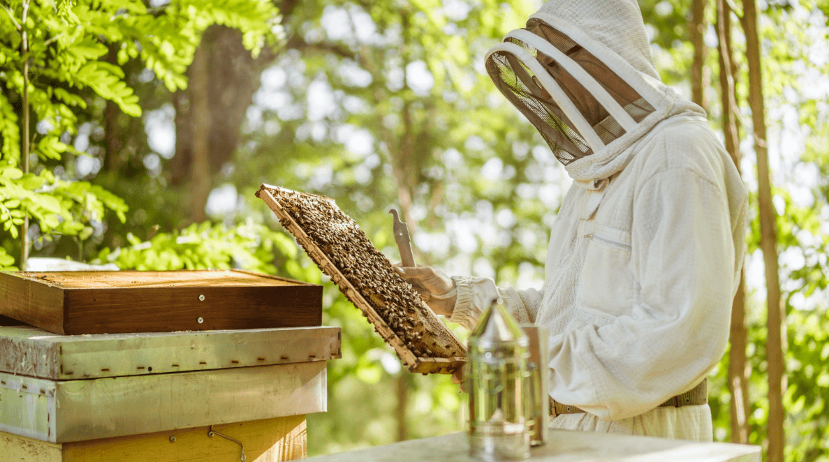 Natural Bee confirma parrilla de invitados internacionales para ENAPI 2026